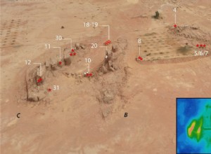 Las tallas de camellos de tamaño natural del norte de Arabia datan del Neolítico 