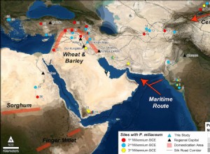 Discovery of millet at a 3,500-year-old site in ancient Mesopotamia transforms knowledge of early agriculture 