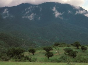 La antigua ciudad mexicana de Monte Albán resistió durante siglos gracias a un gobierno colectivo y equitativo 