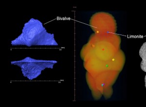 Resuelven el misterio sobre el origen de la Venus de Willendorf 