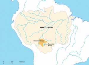 Large pre-Hispanic cities found in the lowlands of northern Bolivia 