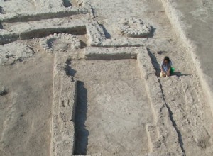 Olive trees were first domesticated 7,000 years ago in the Jordan Valley, the oldest evidence of fruit tree cultivation 