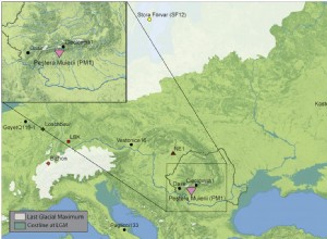 La secuenciación del genoma de una mujer que vivió en Rumania hace 35.000 años muestra que la Edad del Hielo provocó una disminución de la diversidad humana fuera de África 