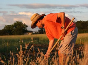 Peasant Leagues and Agrarian Reform 