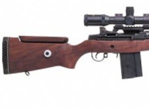 M21 Rifle (USA) 