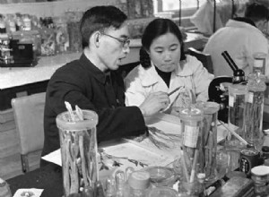 Tu Youyou, malaria researcher 