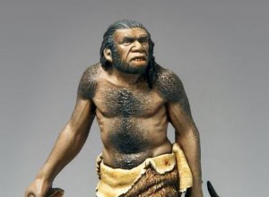 Neanderthal man 