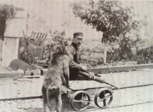 Baboon Jack, railroad worker 