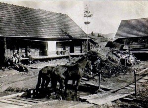 History of Lemkos in Poland 