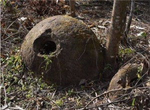 Mysterious jars have been discovered 