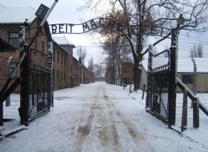 Was Witold Pilecki really a volunteer to Auschwitz? 