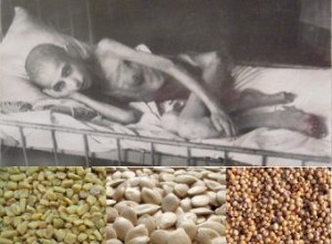 La gente se moría de hambre y ellos... escondían el grano. ¿Está permitido matar a multitudes por el bien de la ciencia? 