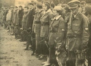 Soviet dogs against German tanks 