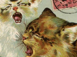 Is your cat still lazy? These 10 stories will prove to you that his ancestors already worked hard! 