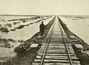  Todas las noches se podían escuchar gritos, gemidos y aullidos inhumanos . Así los bolcheviques expulsaron a los polacos a Siberia 