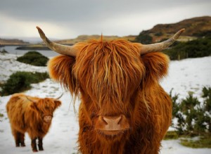 History, Culture and Legends of Scotland 