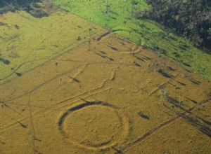 The enigmatic Geoglyphs of Amazonia 