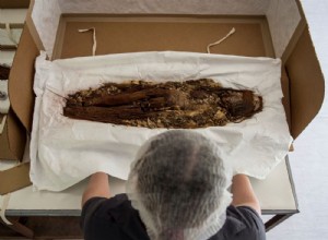 15 of the world s oldest mummies have been scanned 