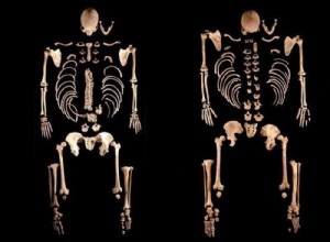 Iberian Peninsula:genetics reveals a major migratory wave from the steppes 4500 years ago 