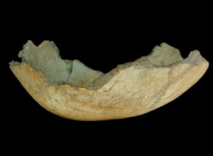 In Spain, 7000 years ago, cannibalistic farmers 