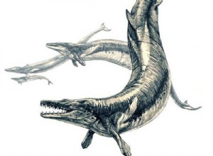 This fossil whale fed on the young of another closely related species 