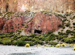 Droga alucinógena:layahuasca de 1000 años encontrada en Bolivia 