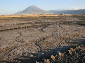 Hallan el mayor conjunto de huellas humanas prehistóricas en África 