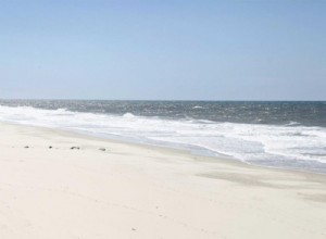 Gironde:several shells discovered on the beaches, the gendarmerie calls for caution 