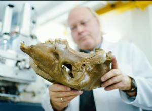 Radiocarbon dating technique becomes more accurate 