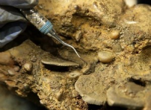 Six skeletons, including possibly that of Black Sam Bellamy, found in the wreckage of a pirate ship sunk in 1717 