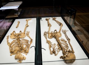 1000 años después, dos guerreros vikingos de la misma familia se reencuentran en Dinamarca 