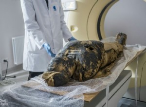 Scientists have discovered a pregnant Egyptian mummy, the world s first case of its kind 