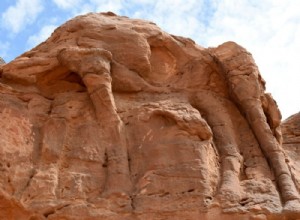 Saudi desert camel carvings are over 7,000 years old 