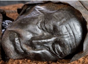 The last meal of the Tollund Man, one of the most famous bog mummies 