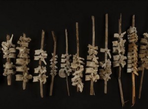 Mystery in the Andes:Skewers of Human Vertebrae from the Chincha Valley 