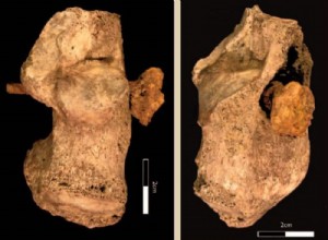 Un posible nuevo caso de crucifixión romana en las Islas Británicas 