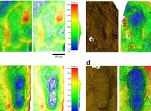 First evidence of shoe use by prehistoric men in France 