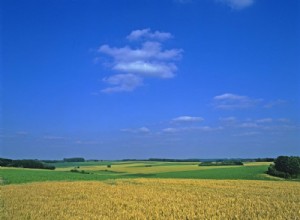 Were the dead of Waterloo turned into agricultural fertilizer in the 19th century? 