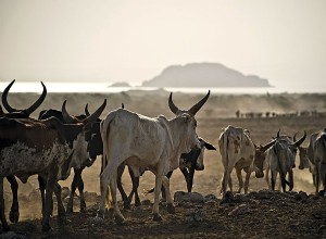 Zona Policial | zona histórica, Namibia 