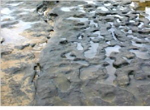 Discovered the most ancient human footprints in Europe 