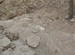 Discovered First Footprints of Homo Erectus 