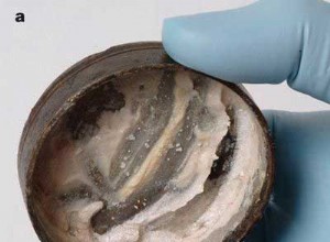 2000 year old face cream that still contains fingerprints 