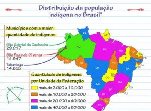 Indios brasileños 