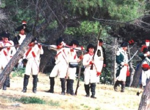 The unknown warriors... The infantry of the Order of St. John (18th century) 