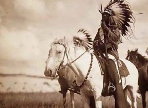 Sioux vs. USA... With only one weapon, courage against fire and iron 