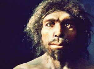 Se ha descubierto el material genético humano más antiguo... ¡de 800.000 años! 